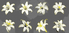 Наклейки декоративные, Лилия, Белый, 20 шт.